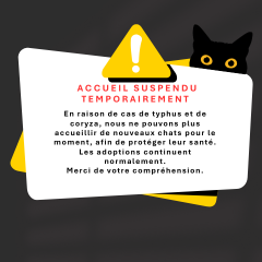 ALERTE